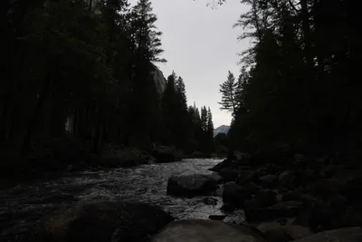 DSC_4628 (Large).JPG